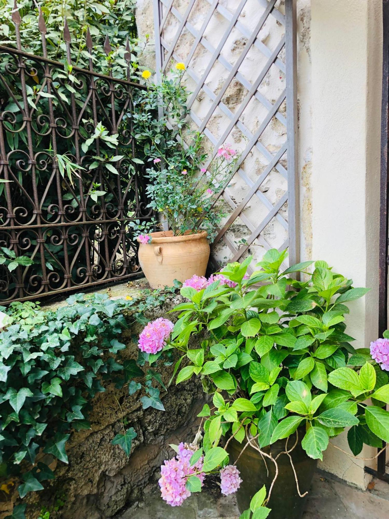 Au Bout Du Pre Hotel Pézenas Екстериор снимка